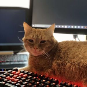 Meet your Posher, Coryn